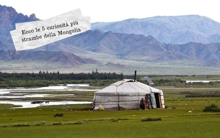 Ecco le 5 curiosit pi strambe della Mongolia
